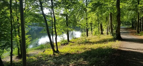L’actualité en bref du 26 octobre dans le Cœur de l’Avesnois et au...