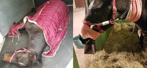 L'actualité en bref du 30 octobre dans le sud-Avesnois et la Thiérache