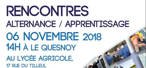 Emploi : alternance ou apprentissage, les réponses à vos questions.