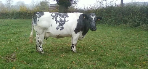 L’actualité en bref du 6 novembre dans le Cœur de l’Avesnois et...