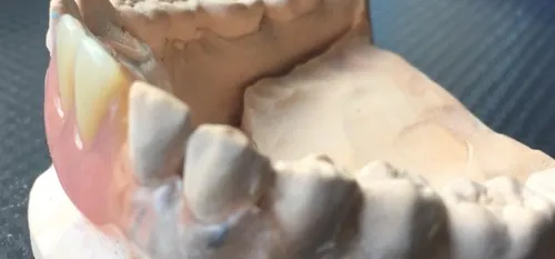 L’actualité en bref du 7 novembre dans le sud-Avesnois et en Thiérache