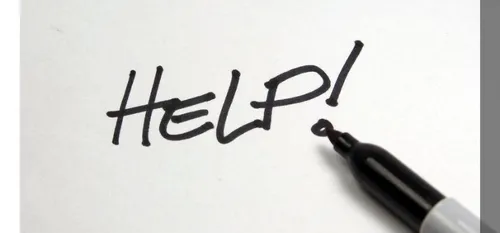 Des couvertures pour les chiens et les chats