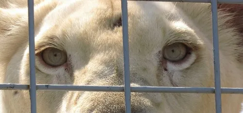 L'AEI de Maubeuge interpelle les villes du Val de Sambre sur...