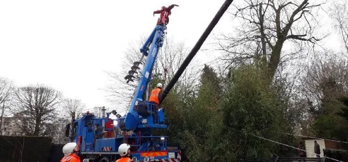 Maubeuge - Chères cigognes, voici un nouveau nid douillet pour vous !