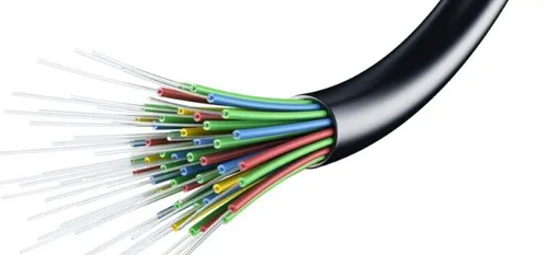 au 5 février dans le Cœur de l'Avesnois et au Pays de Mormal