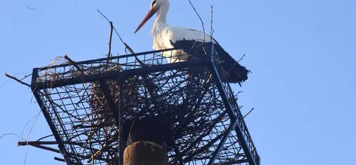 au 12 février dans le Val de Sambre