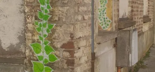 Avez vous vu des illustrations de plantes sur les murs en ville ?