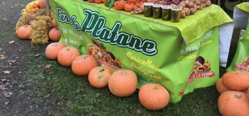 Suite à  la tempête, Caroline a besoin de bras !