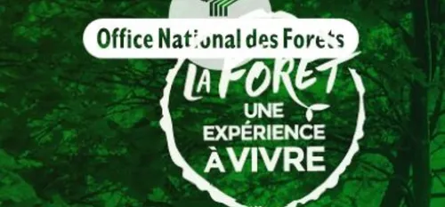 Ce 21 mars, on fête la forêt !