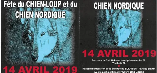 Une balade au milieu des chiens loups