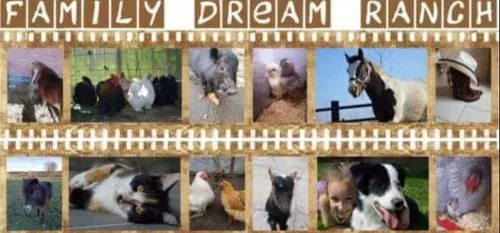 "Family dream ranch" : découverte.