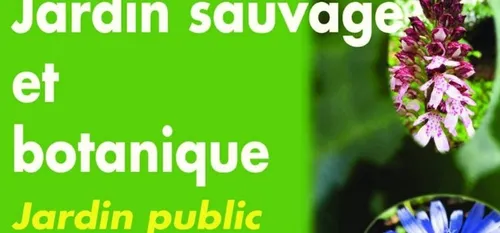 Pieds nus au jardin de Sains du Nord ?