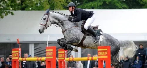 Maubeuge - 300 chevaux en centre-ville pour le Jumping International
