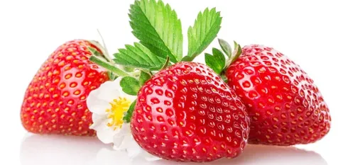 Fraise : câ€™est la pleine saison ðŸ“