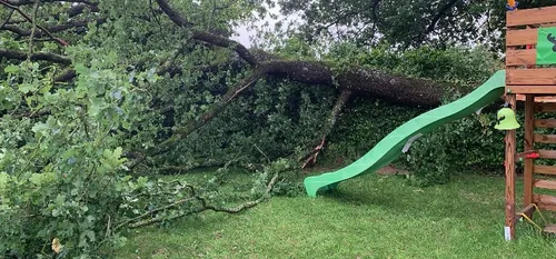 Arbres arrachés, grêles, inondations : vos images au lendemain de...