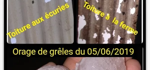 « Le toit est une passoire » témoignage aux Ecuries de la Demi...