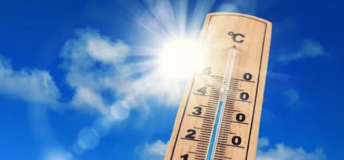 Canicule : les bons gestes