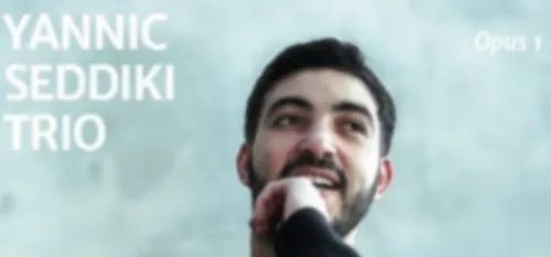 JOLY JAZZ / Yannic Seddiki trio