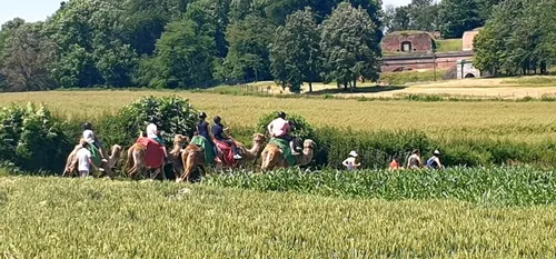 Des Chameaux de Feignies sur TF1 dès dimanche
