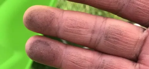 Lubrizol, des traces de suie dans les Hauts de France