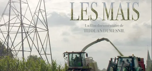 Landrecies : « Les maïs », un court métrage documentaire en avant...