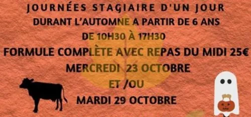 Vacances scolaires : un stage à la ferme?