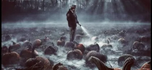 Halloween : un escape game ce 31 octobre au cœur du zoo de Maubeuge