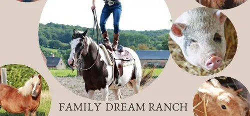 Willies : Le family dream ranch cherche des dons pour ses animaux