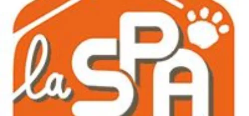 SPA : adoptions et abandons à l’approche des fêtes, le point.