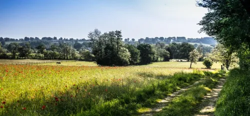 Coeur de l'Avesnois favorable au dispositif régional "Nature en...