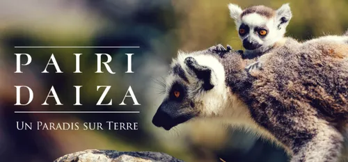 EMPLOI: LE PARC PAIRI DAIZA RECRUTE