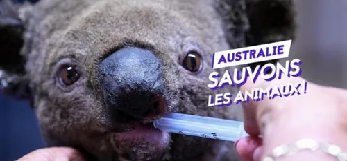 HIRSON : LA CITE SCOLAIRE JOLIOT CURIE SE MOBILISE EN FAVEUR DE...