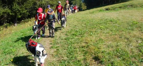 SORTIE : ON SE DEGOURDIT LES PAPATTES CE WEEKEND ?