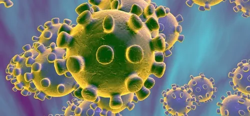 Craignez-vous le Coronavirus ? La réponse de Maubeugeois