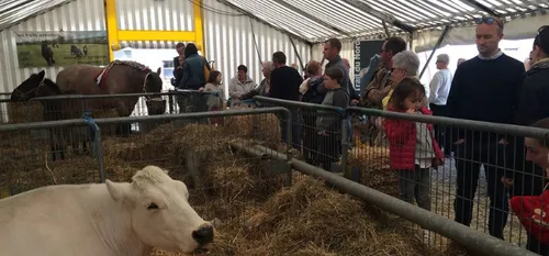 Aulnoye-Aymeries - Le Salon des Saveurs 2020 annulé