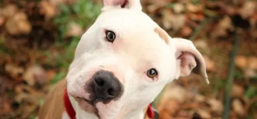 Coronavirus Covid-19 : le coup de colère de Corinne Flament la...