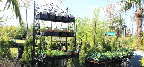 La fin d'une "injustice" pour les jardineries, pépiniéristes et...