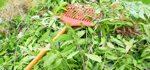 L’instauration d’une collecte à domicile de déchets verts dans le...