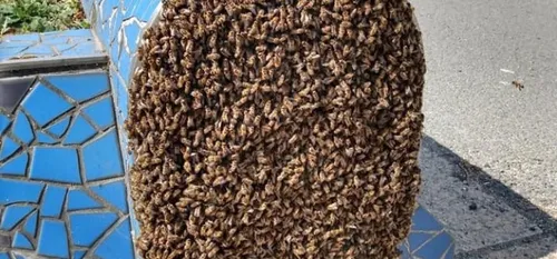 En bref sur Maubeuge et dans le Val de Sambre, pour ce mercredi 6...