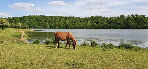 Coronavirus Covid-19 : la région Hauts-de-France en vert et le...
