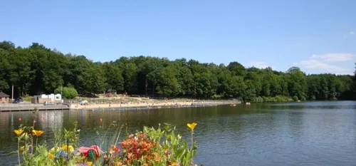 En bref sur Fourmies, dans le sud-Avesnois et en Thiérache, pour ce...