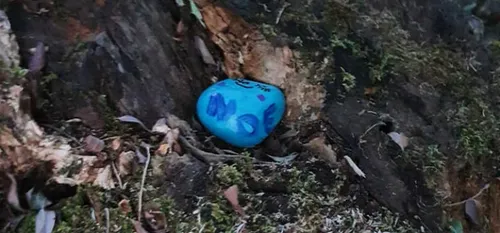 "Trouve mon galet", un jeu qui fait de plus en plus d'adeptes dans...