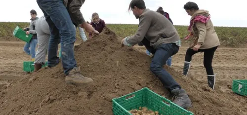Septembre, mois du don agricole avec le Relais SOLAAL...
