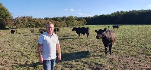 Une mystérieuse affaire de plombs de carabine à air comprimé...