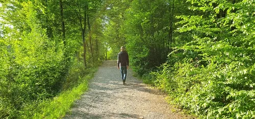 En bref sur Fourmies, dans le sud-Avesnois et en Thiérache, pour ce...