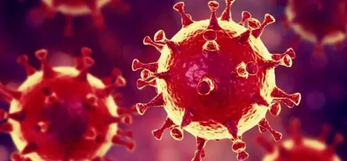 Le couvre-feu à 21h sera-t-il généralisé à tout le département du...