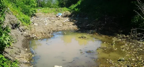 Qui devra payer la facture des dépôts sauvages et des boues de...