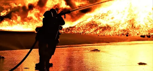 En bref dans le Cœur de l'Avesnois et au Pays de Mormal, pour ce...