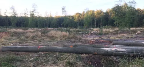 En bref dans le Cœur de l'Avesnois et au Pays de Mormal, pour ce...