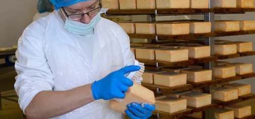 La filière Maroilles fragilisée par le deuxième confinement